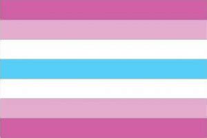 femboy flagge|I created one of the widely used femboy flag designs。